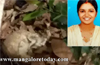 Puttur : Skeletal remains of missing young woman found; suicide suspected
